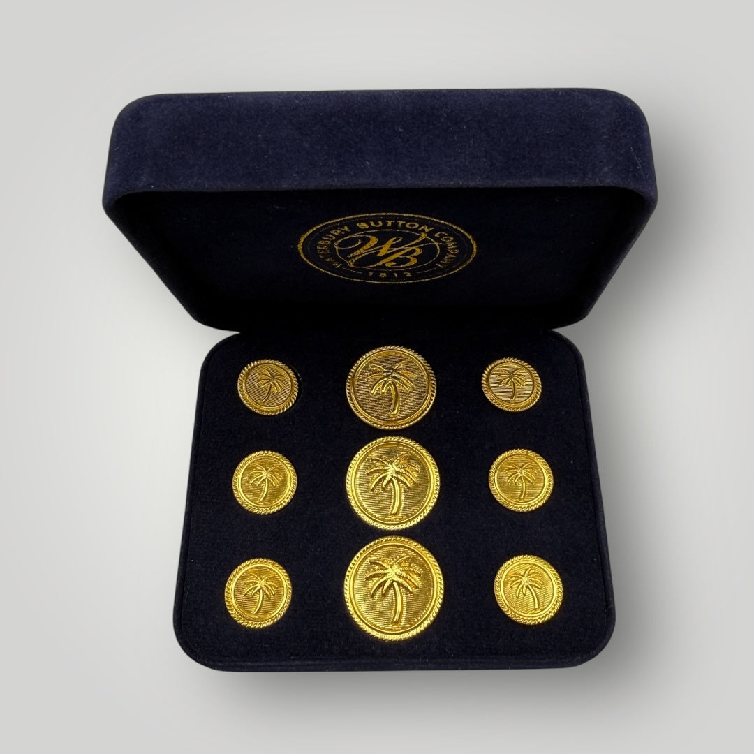 The Tropical Palm Tree