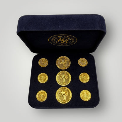 The Tropical Palm Tree