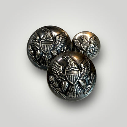 The Civil War Union Eagle